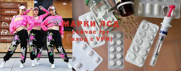 ECSTASY Богородицк
